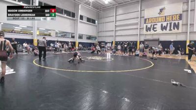 85 lbs Quarterfinal - Mason Umberger, Southington vs Brayden Lieberman, Danielsville