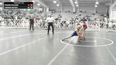 106 lbs Consi Of 128 #2 - Parker Williams, FL vs Andrew Batista, MA