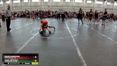 80 lbs Round 2 (8 Team) - David Sargsyan, Brawler Elite vs Nash Metcalf, Contenders WA Blue