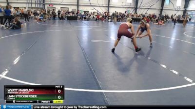 Silver 133 lbs Champ. Round 1 - Wyatt Magolski, Wisconsin-La Crosse vs Liam Stockberger, Luther