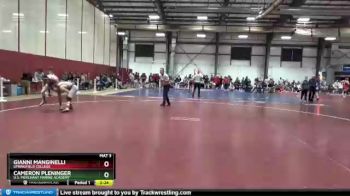 133 lbs Cons. Round 2 - Gianni Manginelli, Springfield College vs Cameron Pleninger, U.S. Merchant Marine Academy