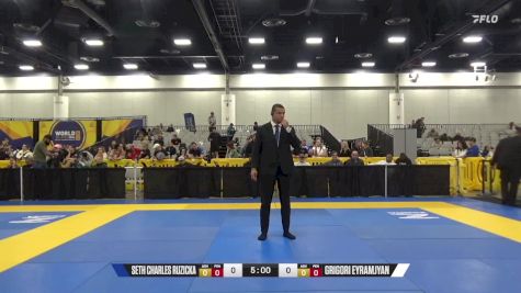 Grigori Eyramjyan vs Seth Charles Ruzicka 2024 World IBJJF Jiu-Jitsu No-Gi Championship