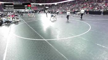 D2-144 lbs Quarterfinal - Trig White, Chetek-Weyer./Prairie Farm vs Ben Miller, Wittenberg-Birnamwood