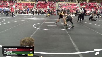 125 lbs Cons. Round 4 - Kale Page, Linn County Twisters vs Joshua Cubero, Jaguar Wrestling Club