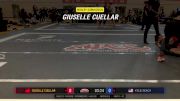 Michel Alsoury vs Ruben Alaniz 2024 ADCC Austin Open