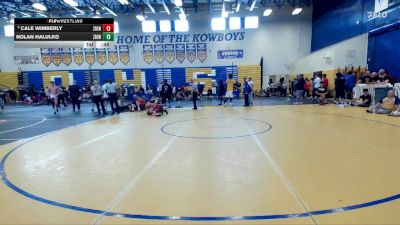 113 lbs Cons. Semi - Nolan Halulko, Treasure Coast Wrestling Club vs Cale Wimberly, Beebe Trained