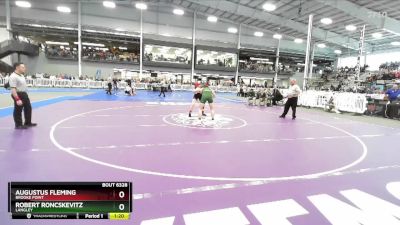 6-165 lbs Semifinal - Augustus Fleming, Brooke Point vs Robert Roncskevitz, Langley