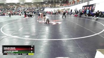 165 lbs Cons. Round 1 - Jackson Balmer, Briar Cliff (Iowa) vs Gailan Wilds, Brewton-Parker (GA)