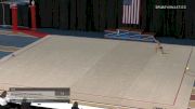 Angelina Harutyunyan - Ball, Nevada Rhythmic Academy LLC - 2021 Rhythmic Elite Qualifier