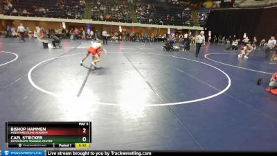 95 lbs Cons. Round 4 - Cael Stricker, McDominate Training Center vs Bishop Hammen, Moen Wrestling Academy