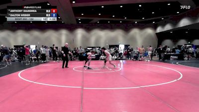 132 lbs 1st Place Match - Anthony DiAndrea, New Jersey vs Dalton Weber, New Jersey
