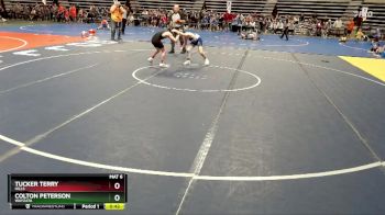 95 lbs Quarterfinal - Colton Peterson, Wayzata vs Tucker Terry, Hills