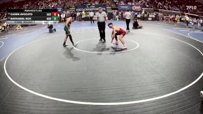 D 1 113 lbs Cons. Round 2 - Nathaniel Box, Acadiana vs Caden Avocato, Destrehan