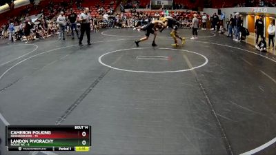 110 lbs Round 4 (8 Team) - Cameron Polking, Neighborhood vs Landon Pivorachy, Rogue WC