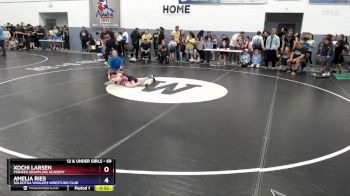 69 lbs Semifinal - Xochi Larsen, Pioneer Grappling Academy vs Amelia Ries, Soldotna Whalers Wrestling Club