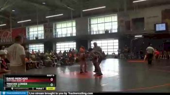 195 lbs Round 3 (6 Team) - David Mercado, Gulf Coast Elite vs Tristan Lower, Tiger Elite