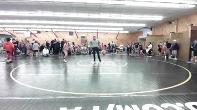 78 lbs Consi Of 8 #2 - Liam Youells, Shavertown vs Matthew Amelio, North Coldwell