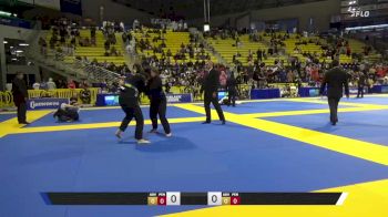 Salla Emma Erika Simonen vs Anna Clara Pinheiro Leite 2025 World Jiu-Jitsu IBJJF Championship
