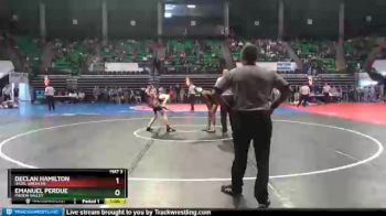 113 lbs Cons. Round 2 - Declan Hamilton, Hazel Green HS vs Emanuel Perdue, Pinson Valley
