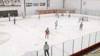 Replay: Home - 2025 Tropics vs Punisher | Jul 20 @ 10 AM