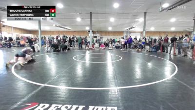 105 lbs Final - Brooke Cannici, Oakland vs Agnes Terpening, Hannibal