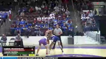 133 lbs Champ. Round 1 - Gabriel Brandenburg, University Of The Ozarks (Arkansas) vs Carson Sauriol, University Of Dubuque