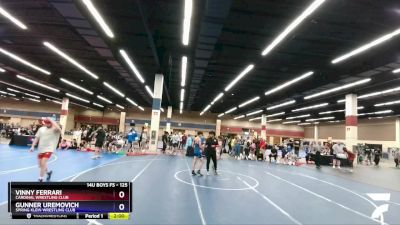 125 lbs Round 5 - Vinny Ferrari, Cardinal Wrestling Club vs Gunner Uremovich, Spring Klein Wrestling Club