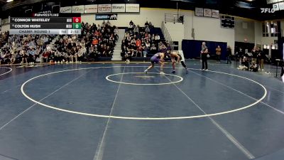 141 lbs Champ. Round 1 - Connor Whiteley, Augustana (SD) vs Colton Hush, Minnesota State