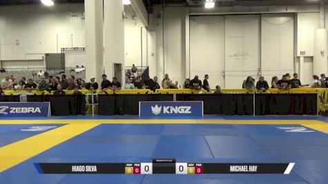 Michael Hay vs HIAGO SILVA 2025 World IBJJF Jiu-Jitsu No-Gi Championship