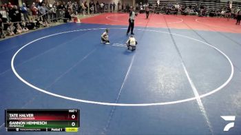 65 lbs Semifinal - Gannon Hemmesch, Paynesville vs Tate Halver, Chaska/Chanhassen