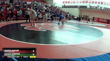 165 lbs Quarterfinal - Lincoln Gardner, Olentangy Liberty vs Hunter Roesser, Archbishop Alter