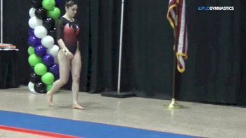 Ashley Veglucci - Vault, Gold Medal - 2018 Tampa Bay Turner's Invitational