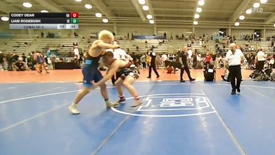 220 lbs Consi Of 4 - Codey Dean, GA vs Liam Rodebush, ID