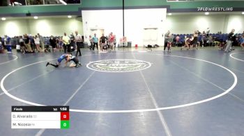60 lbs Final - Dustin Alvarado, CO vs Michael Nicosia, PA