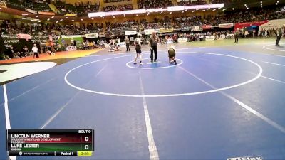 119 lbs Quarterfinal - Lincoln Werner, Student Wrestling Development Program vs LUKE LESTER, Kodiak