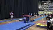 Hannah Stecher - Women's Group, Dubuque All Around Gymnastics - 2021 Women's Xcel Region 4 Championships