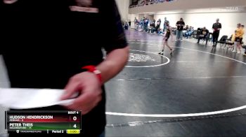 65 lbs Placement (4 Team) - Hudson Hendrickson, Perham vs Peter Theis, Holdingford