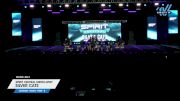 Spirit Central Metro-West - Silver Cats [2025 L1.1 Youth - PREP - B Day 1] 2025 Spirit Fest Grand Nationals