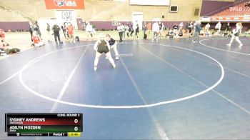 145 lbs Cons. Round 3 - Sydney Andrews, Wisconsin vs Adilyn Mozden, Ohio