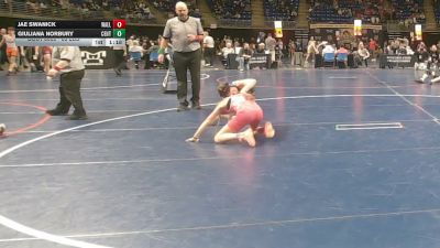 85 lbs Consy 4 - Jae Swanick, Wallenpaupack vs Giuliana Norbury, Central Dauphin