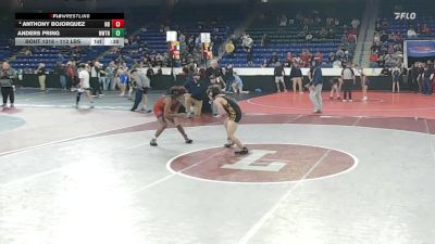 113 lbs Round Of 32 - Anthony BoJorquez, New Bedford vs Anders Pring, Newton North