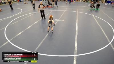 Cons. Round 3 - Mason Borowske, White Bear Lake Wrestling vs Hayden Shoemaker, Summit Wrestling Academy