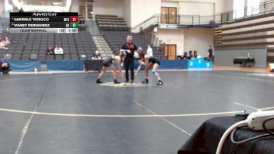 103 lbs Quarterfinal - Gabriele Tedesco, McKendree University vs Vianey Hernandez, Quincy