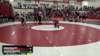 165 lbs Quarterfinal - Xavian Williams, Davenport Central vs Santiago DeLaCruz, Northeast Community