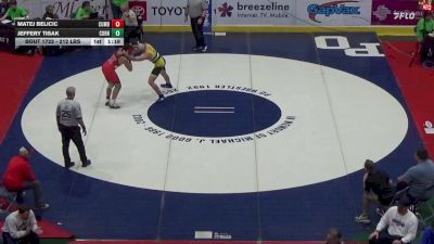212 lbs Quarterfinal - Matej Belicic, Cumberland Valley vs Jeffery Tisak, Cornell