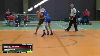 149 lbs Champ. Round 1 - Anthony Miraglia, Alfred State vs Mahmoud Esa, Brockport