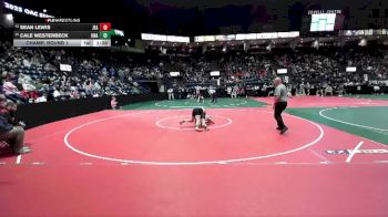 120 lbs Champ. Round 1 - Sean Lewis, JEA2 vs Cale Westerbeck, Unattached