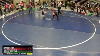 39 lbs Cons. Round 4 - Carson Dick, Team Grand Valley Elite vs Briggs Schmalz, Independent