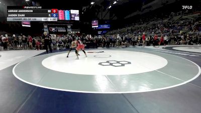 138 lbs Champ. Rd Of 128 - Abram Anderson, MN vs Jaiden Zajni, FL