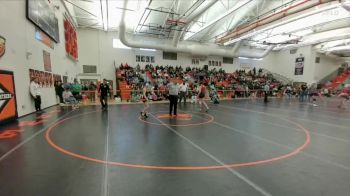 105 lbs Quarterfinal - Rylin Plant, Rock Springs vs Saige Erickson, Kemmerer